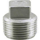 PLUMB-EEZE 1 In. MIP Square Head Stainless Steel Plug Image 1