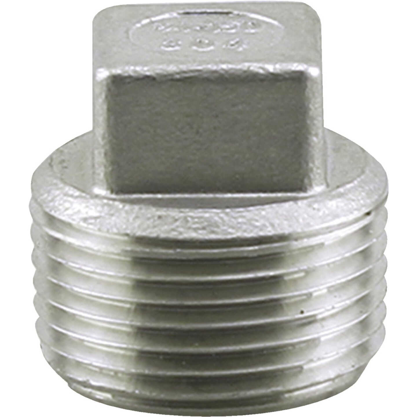 PLUMB-EEZE 1 In. MIP Square Head Stainless Steel Plug Image 1
