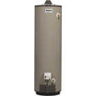 40GAL LP GAS WTR HEATER Image 1
