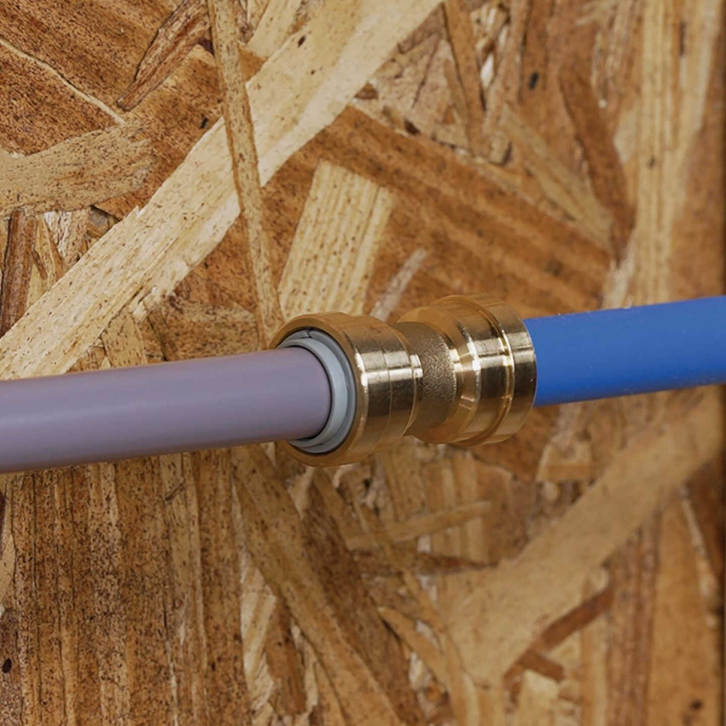 QuickFitting 1/2 In. x 1/2 In. Push-to-Connect Brass Polybutylene Transition (Conversion) Coupling Image 2