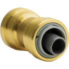 QuickFitting 1/2 In. x 1/2 In. Push-to-Connect Brass Polybutylene Transition (Conversion) Coupling Image 1