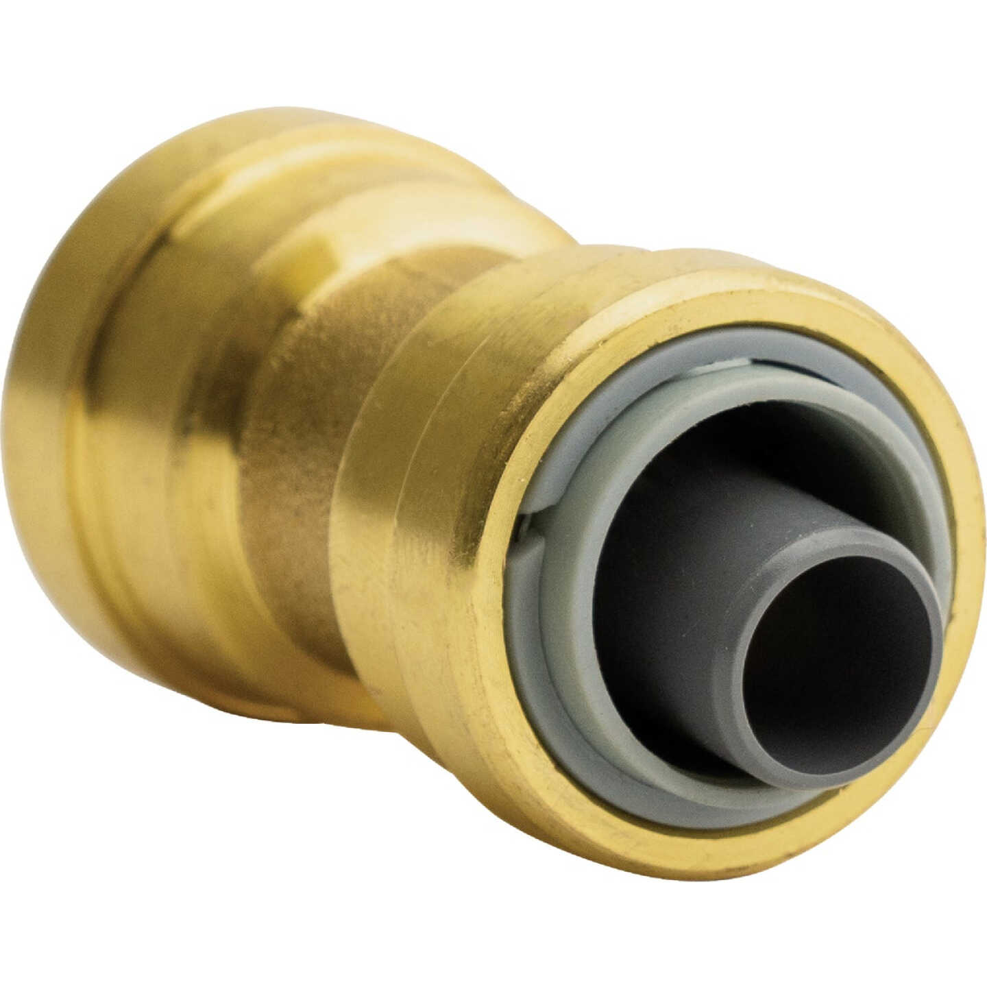 QuickFitting 1/2 In. x 1/2 In. Push-to-Connect Brass Polybutylene Transition (Conversion) Coupling Image 1