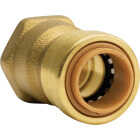 QuickFitting 1/2 In. Push-to-Connect x 1/2 In. FNPT Brass Straight Female Adapter Image 1