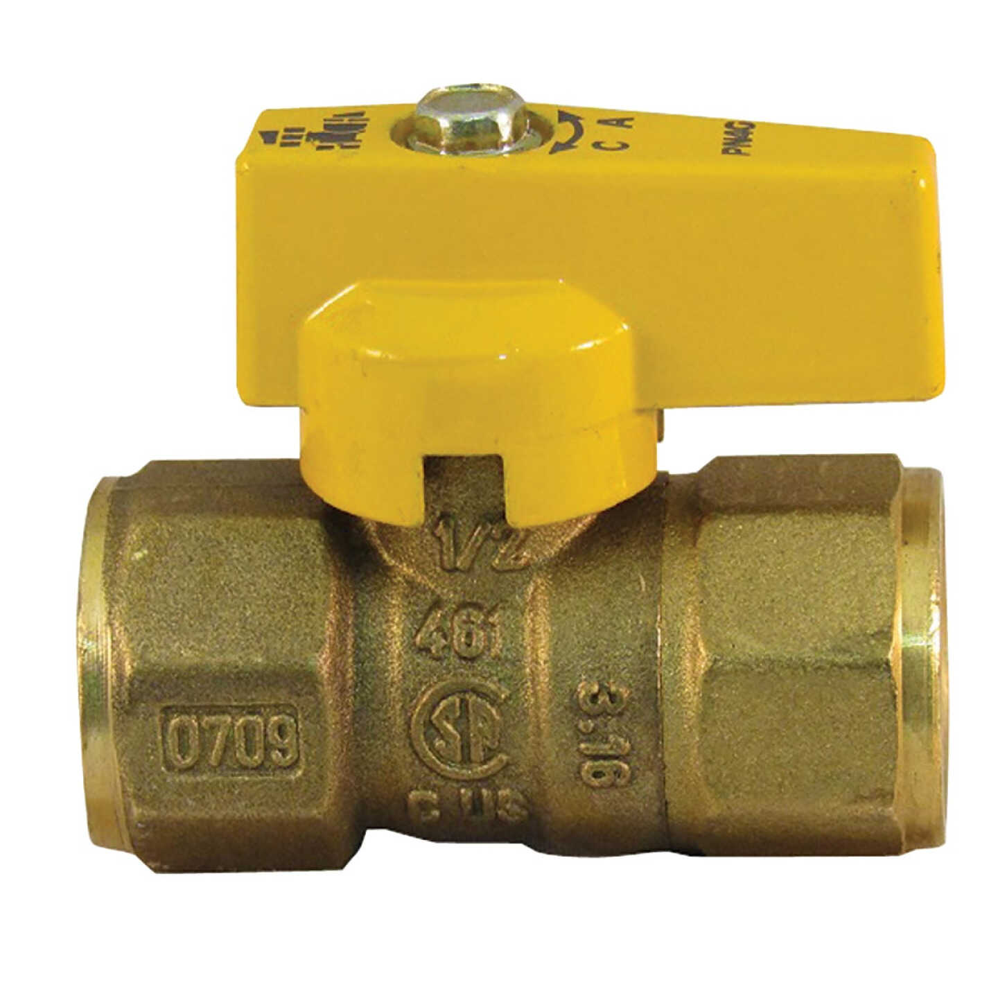 Pro-Flex CSST 1/2 In. FIP x 1/2 In. FIP - Gas Valve Image 1