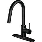 Home Impressions Contemporary Builder 1-Handle Lever Pull-Down Kitchen Faucet, Matte Black Image 1