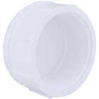 Charlotte Pipe 2 In. FIP Schedule 40 Threaded PVC Cap Image 1