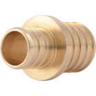 SharkBite Lead-Free Insert 1 In. Barb x 3/4 In. Barb Brass PEX Coupling Image 1