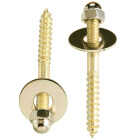 Do it Best 2-1/2 In. x 1/4 In. Brass-Plated Steel Toilet Screws (2 Ct.) Image 1