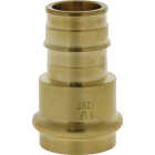 Nibco 1 In. Press x F1960 LF BR PEX Transition Fitting Image 1