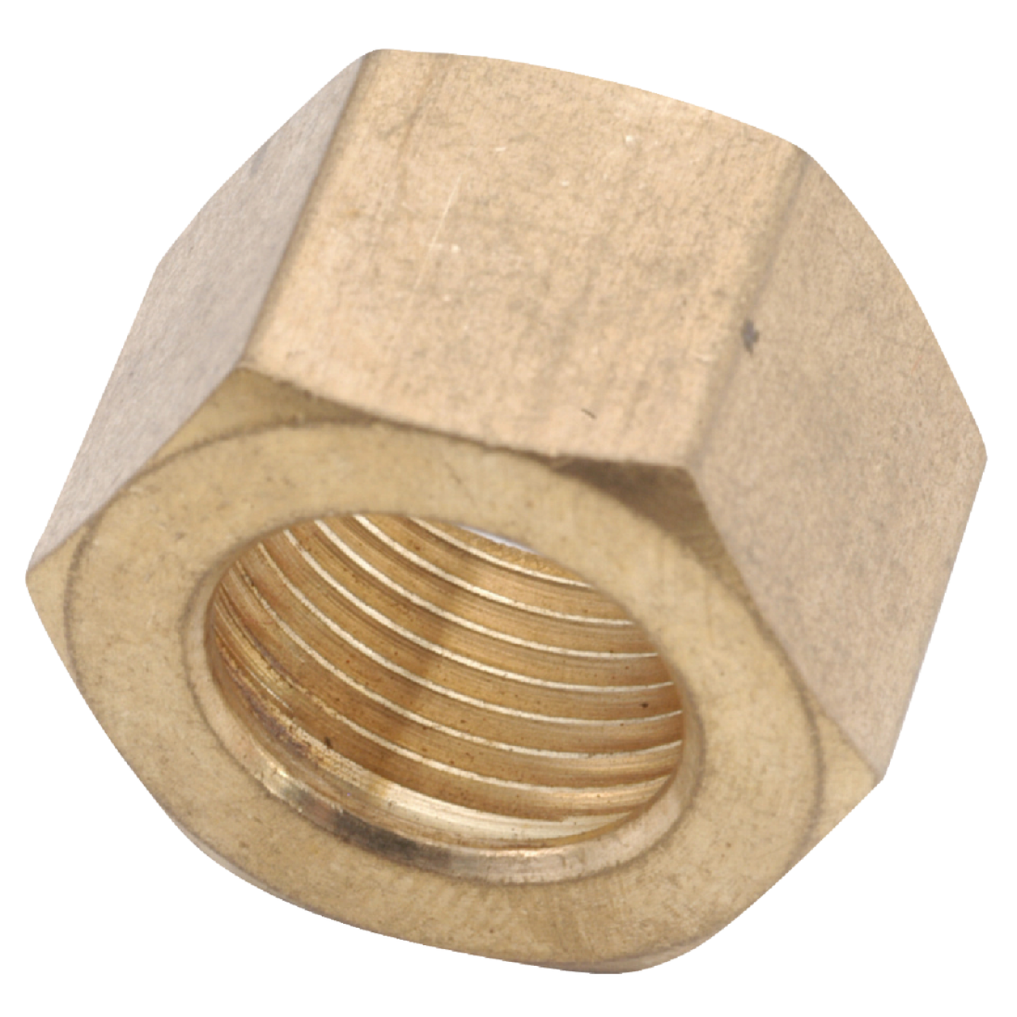 Anderson Metals 5/8 In. Brass Compression Nut (2-Pack) Image 1