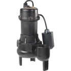 Wayne 1/2 H.P. Cast Iron Sewage Ejector Pump with Tether Switch Image 1