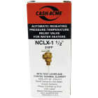 Cash Acme 1/2 In. NCLX-1 Temperature & Pressure Relief Valve Image 2