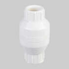 ProLine PVC 3/4 In. FIP x 3/4 In. FIP In-Line Check Valve Image 1