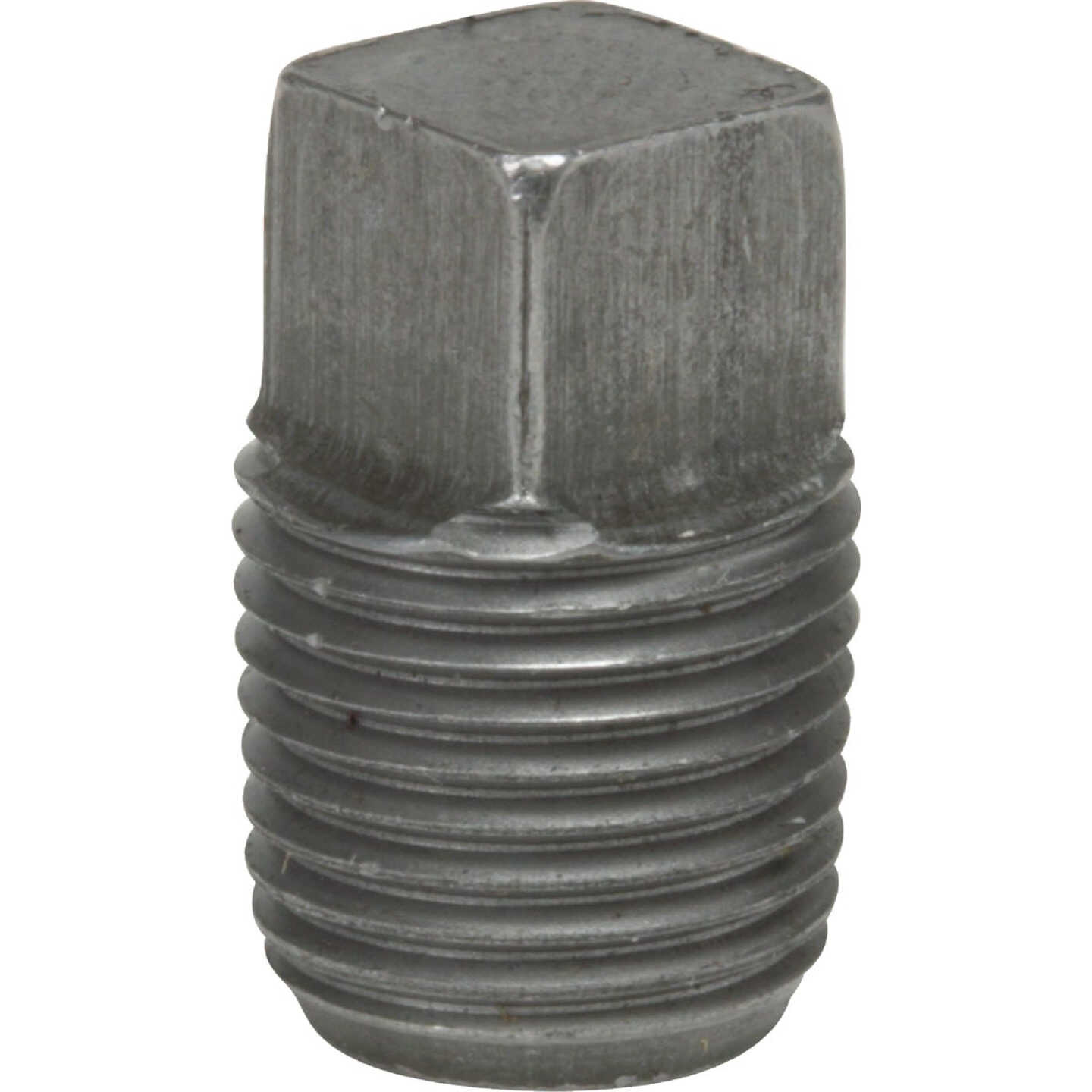Anvil 1/8 In. Malleable Black Iron Square Head Pipe Plug Image 1