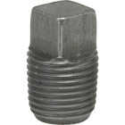 Anvil 3/8 In. Malleable Black Iron Square Head Pipe Plug Image 1
