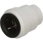 Watts Aqualock 3/8 In. Push-to-Connect Plastic Cap Image 1