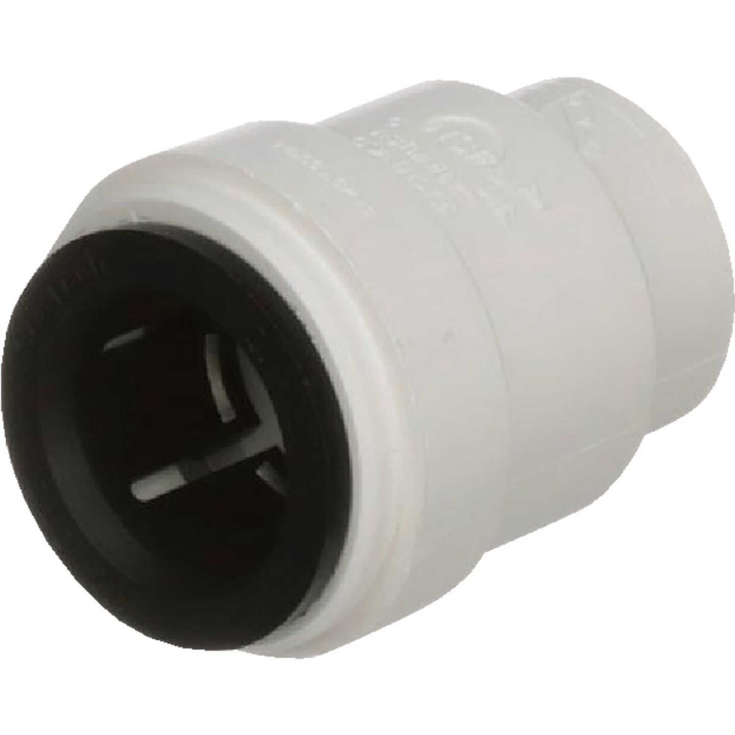 Watts Aqualock 3/8 In. Push-to-Connect Plastic Cap Image 1