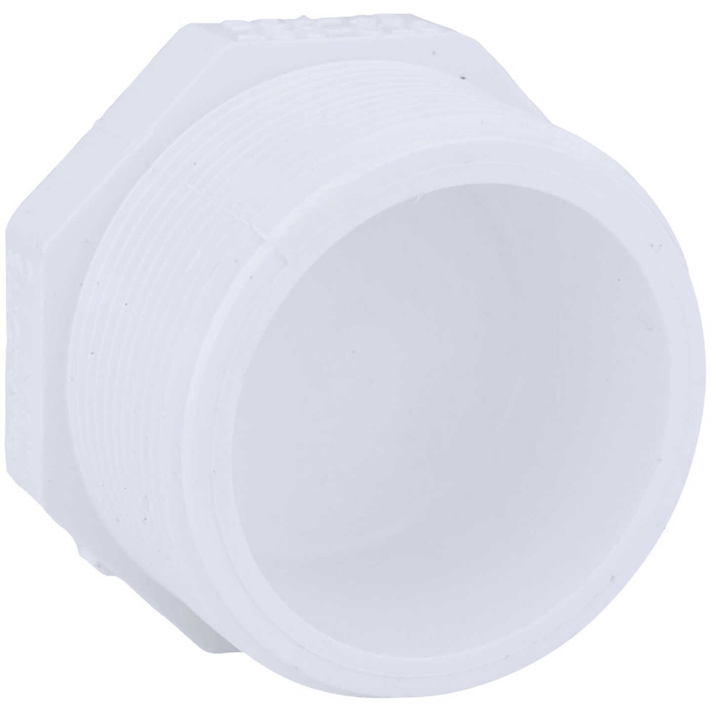 Charlotte Pipe Threaded Schedule 40 2 In. MIP PVC Plug Image 1