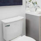 Korky StrongARM Front-Mount Chrome Tank Lever for Mansfield & Other Front-Mount Toilets Image 4