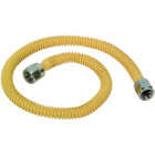 Watts 3/8 In. x 22 In. Flexible Gas Connector Image 1