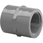 Charlotte Pipe 3/4 In. FIP x FIP PVC Coupling Image 1