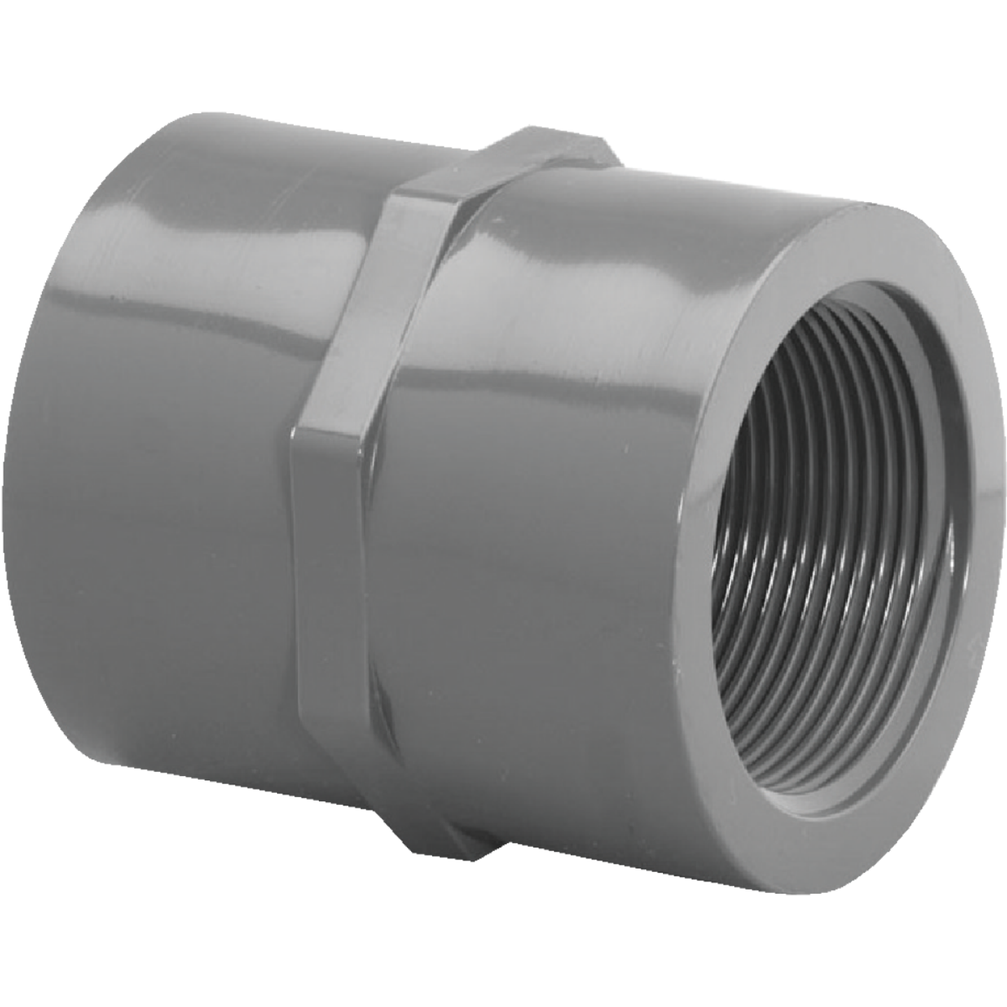 Charlotte Pipe 3/4 In. FIP x FIP PVC Coupling Image 1