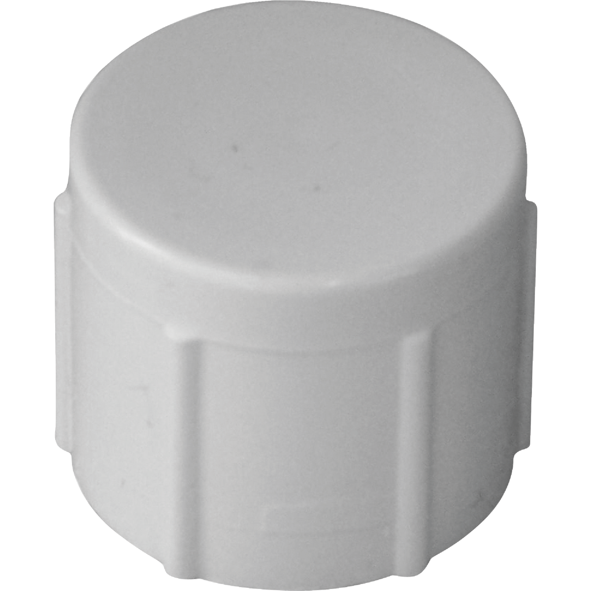 Charlotte Pipe 1/2 In. FIP Schedule 40 Threaded PVC Cap Image 1