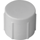 Charlotte Pipe 1/2 In. FIP Schedule 40 Threaded PVC Cap Image 1