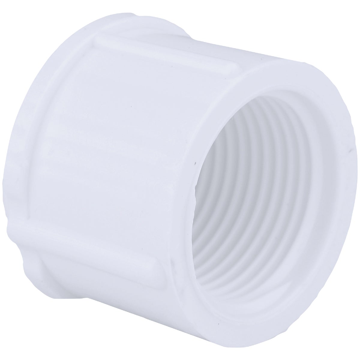 Charlotte Pipe 3/4 In. FIP Schedule 40 Threaded PVC Cap Image 1