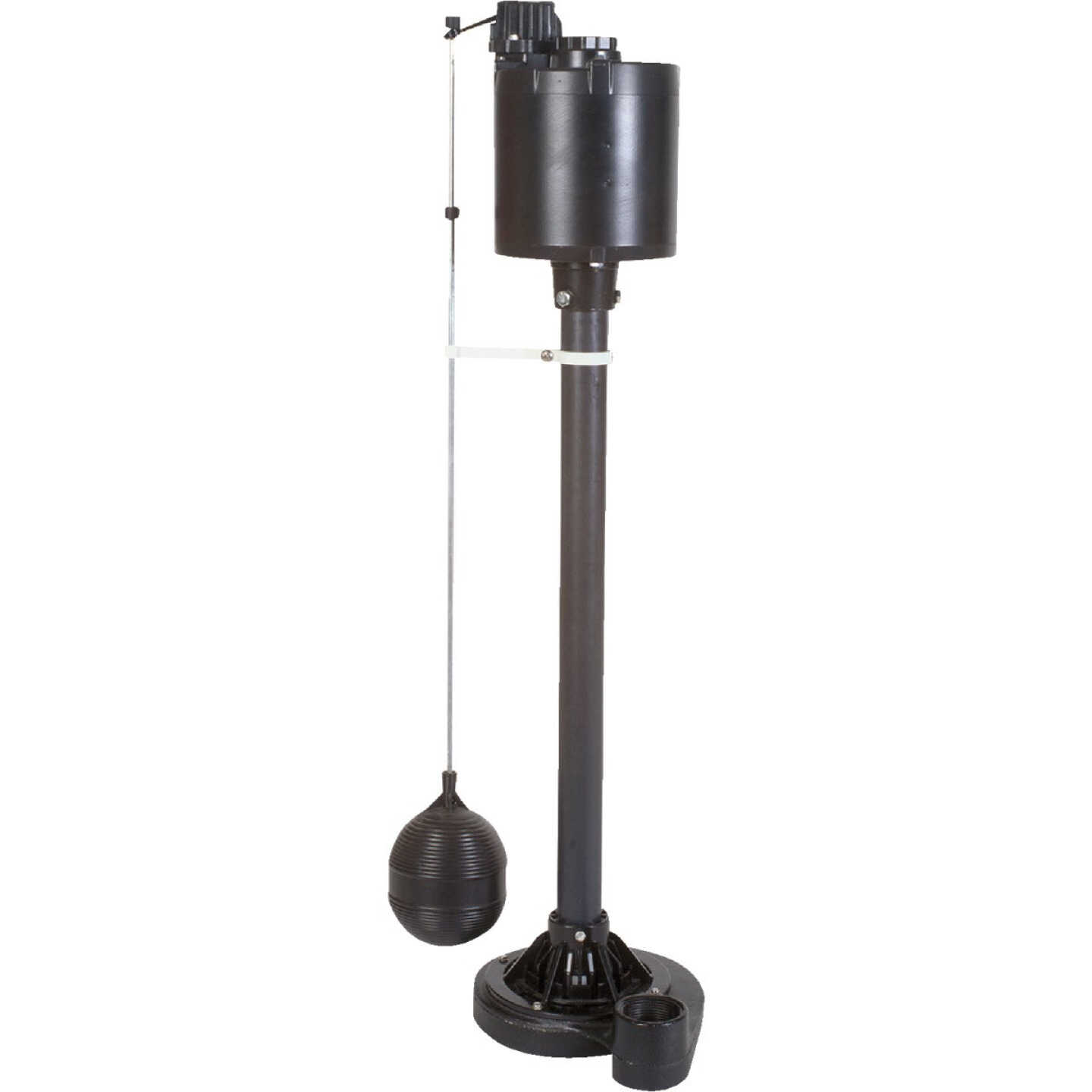 Do it Best 1/2 HP Cast Iron/Stainless Steel Pedestal Sump Pump Image 1