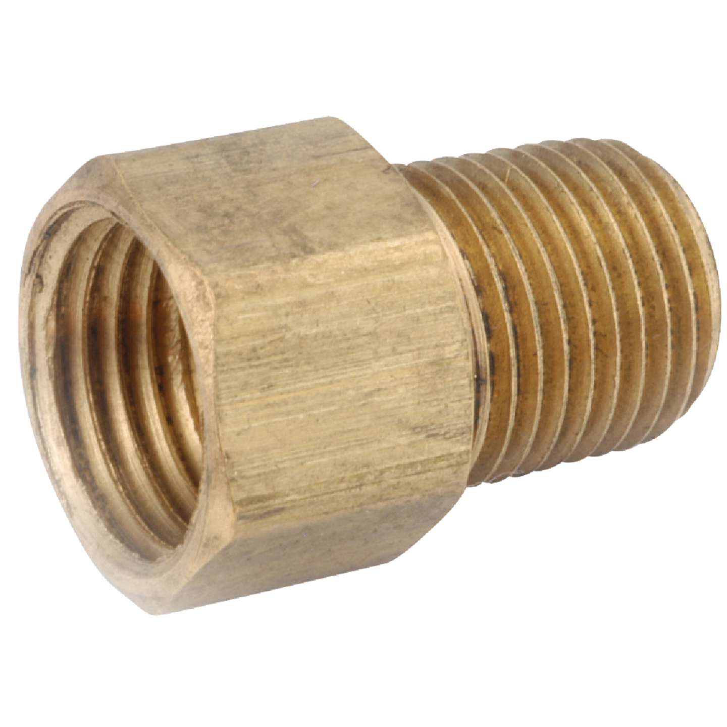 Anderson Metals 5/16 In. x 1/8 In. Brass Inverted Flare Connector Image 1