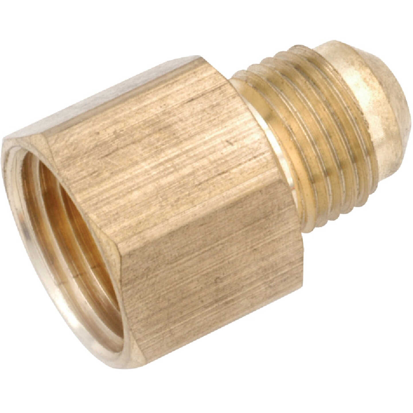 Anderson Metals 1/2 In. x 1/2 In. Brass Low Lead Female Flare Connector Image 1