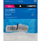 Watts Aqualock 1/2 In. Push-to-Connect Plastic Cap Image 2