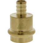 Nibco 3/4 In. Press x 1/2 F1807 LF BR PEX Transition Fitting Image 1