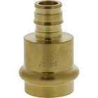 Nibco 3/4 In. Press x 1/2 F1960 LF BR PEX Transition Fitting Image 1