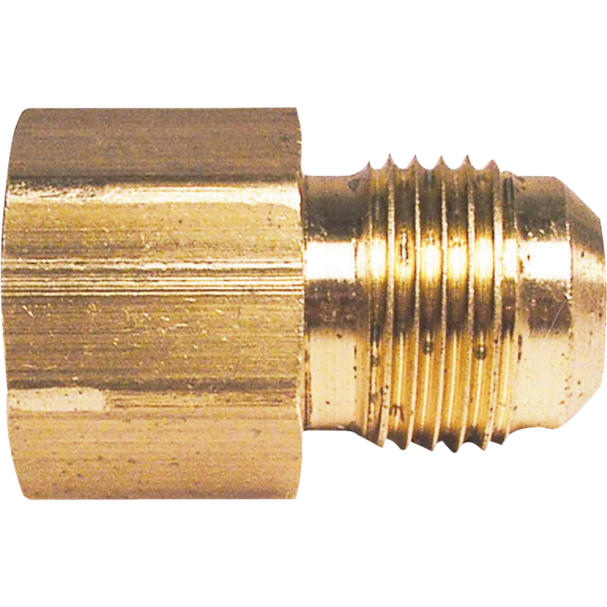 Do it 1/4 In. x 1/4 In. Brass Female Flare Adapter Image 1