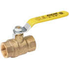 ProLine 3/4 In. FIP x 3/4 In. FIP Brass Ball Valve Image 1