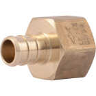 SharkBite 1/2 In. Barb x 1/2 In. FIP Brass PEX Adapter Image 1