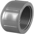 Charlotte Pipe 1/2 In. FIP Schedule 80 Threaded PVC Cap Image 1