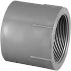 Charlotte Pipe 1-1/2 In. Schedule 80 Female PVC Adapter Image 1