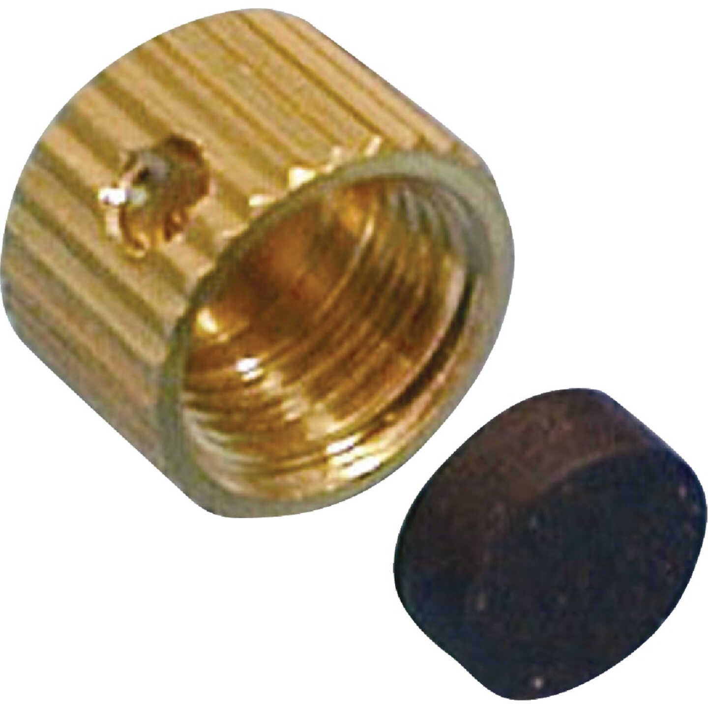 ProLine Large Brass Drain Cap Image 1