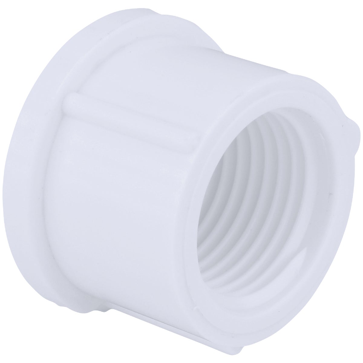 Charlotte Pipe 4 In. FIP Schedule 40 Threaded PVC Cap Image 1
