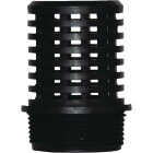 NDS KBI Flow Management x 1-1/2 In. PVC Foot Valve Screen Image 1