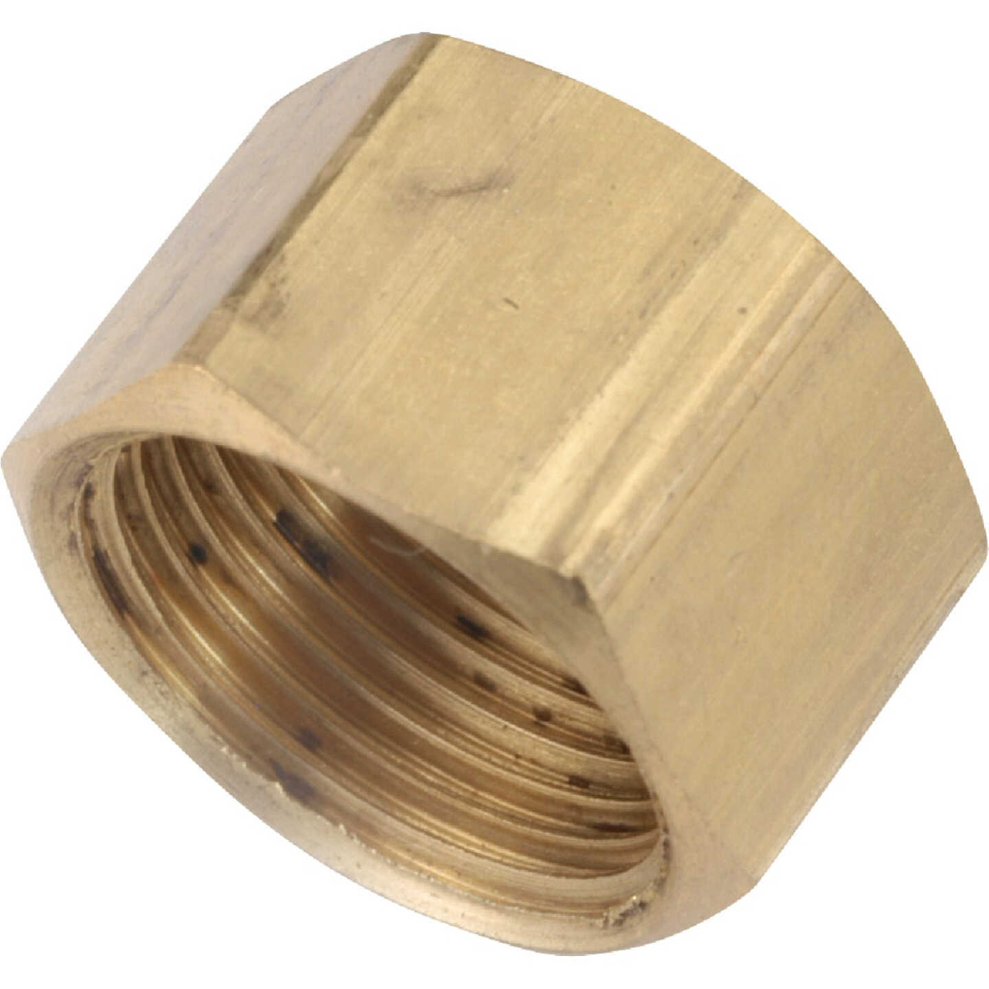 Anderson Metals 1/2 In. Brass Compression Cap Image 1
