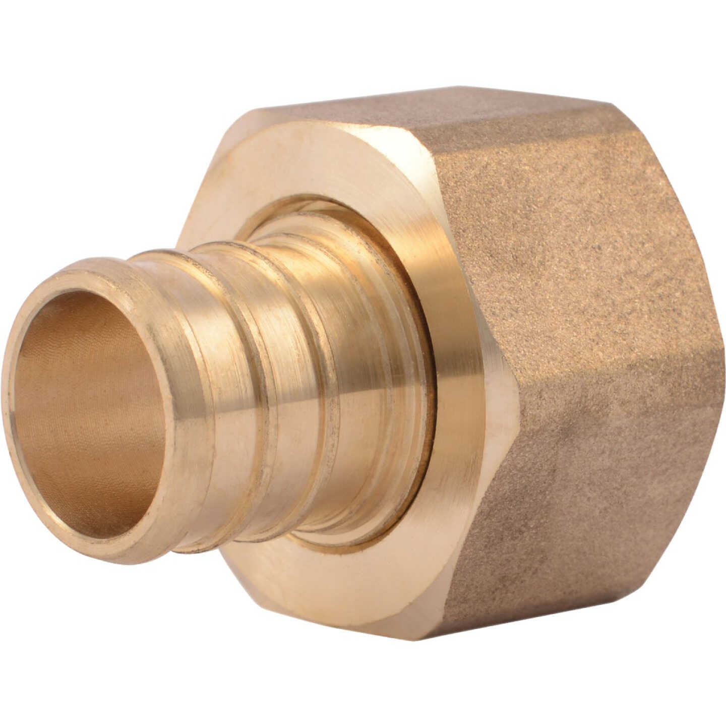 SharkBite 3/4 In. Barb x 3/4 In. FPT Brass PEX Adapter Image 1