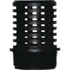 NDS KBI Flow Management x 2 In. PVC Foot Valve Screen Image 1