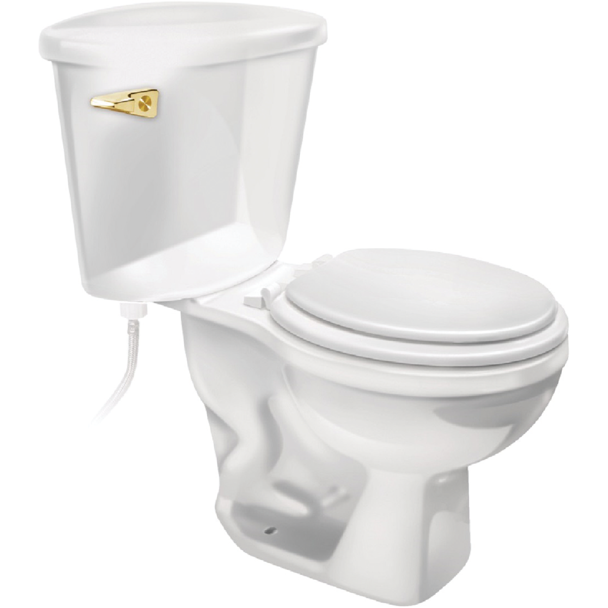 Fluidmaster Sure-Fit Basic Polished Brass Tank Lever with Plastic Arm Image 6