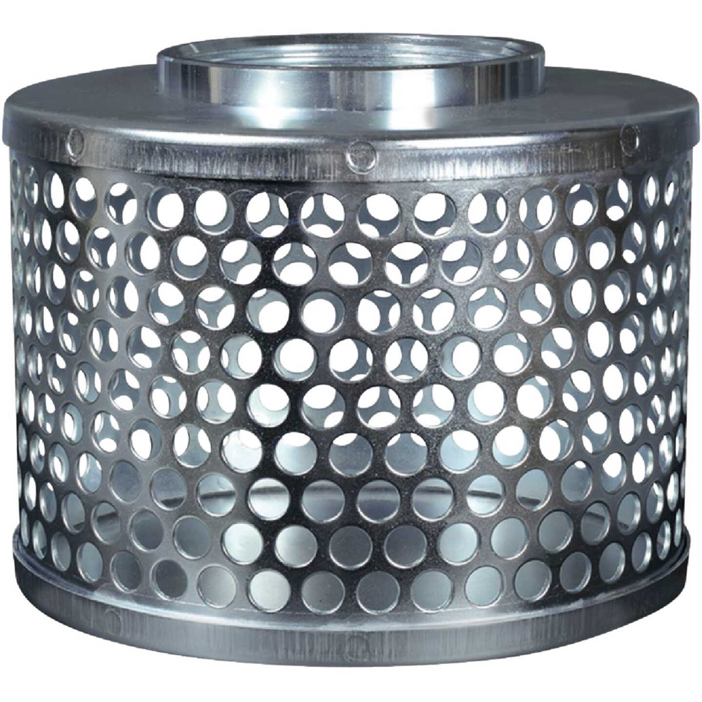 Apache 2 In. ID Plated Steel Suction Hose Strainer Image 1