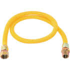 Eastman 5/8 In. OD x 48 In. 3/4 In. FIP x 3/4 In. MIP (Tapped 1/2 In. FIP) Coated Stainless Steel Gas Connector Image 1