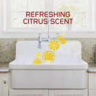 DrainOut 32 Oz. Liquid Kitchen Drain Opener Image 5